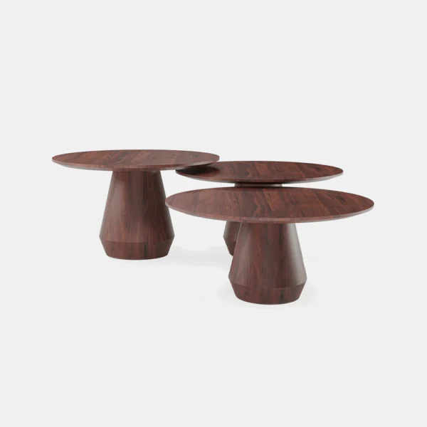 CHARLOTTE CENTER TABLE - SET OF 3