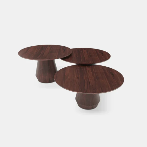 CHARLOTTE CENTER TABLE - SET OF 3 - Image 2